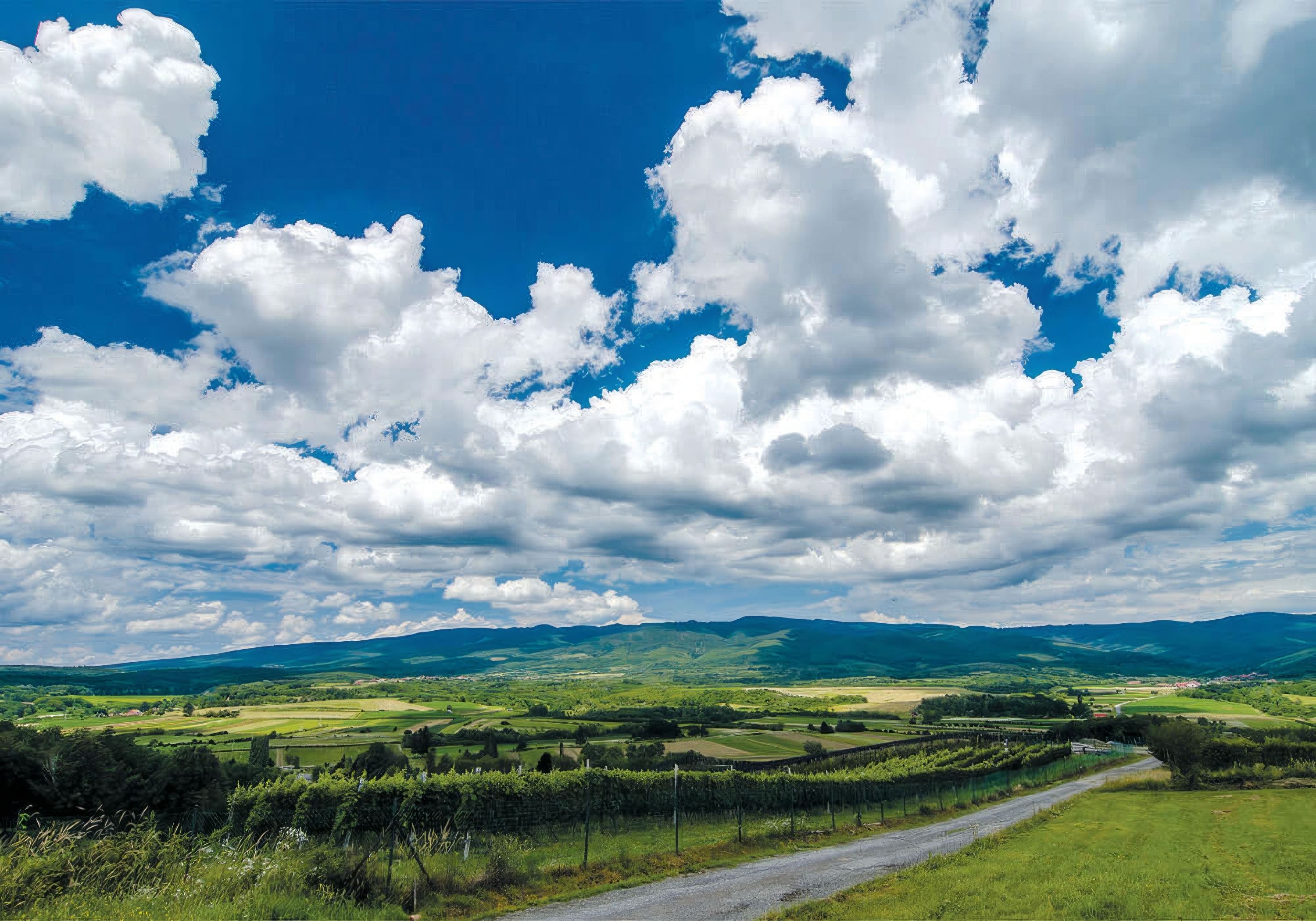 Visit Nova Gradiška | Sehenswürdigkeiten